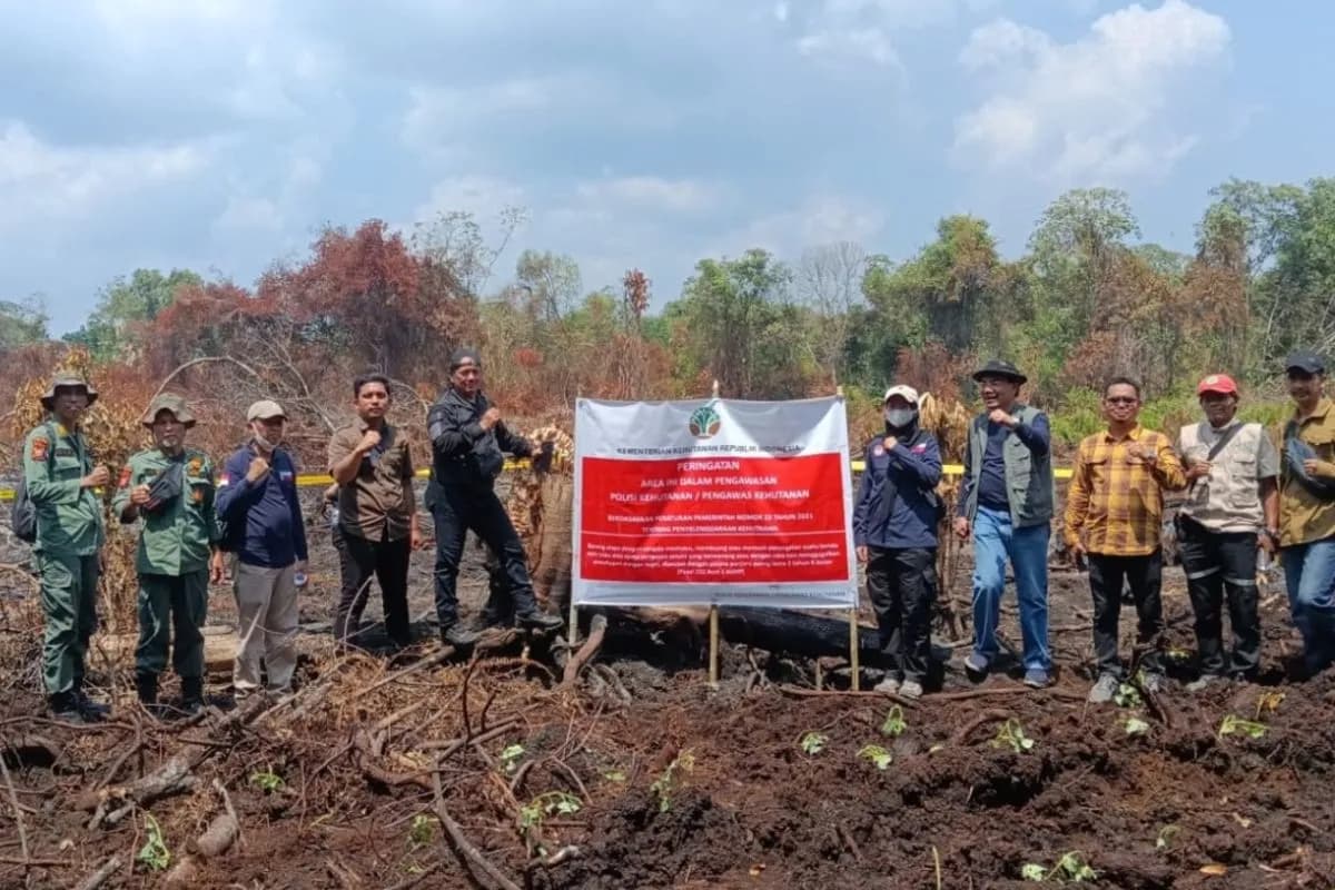 Tiga Perusahaan Hutan Disegel, Gakkum Kemenhut Tegas Lindungi Gambut Riau